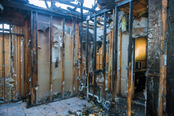 Professional Fire Damage Repair technician working in Gambrills, MD